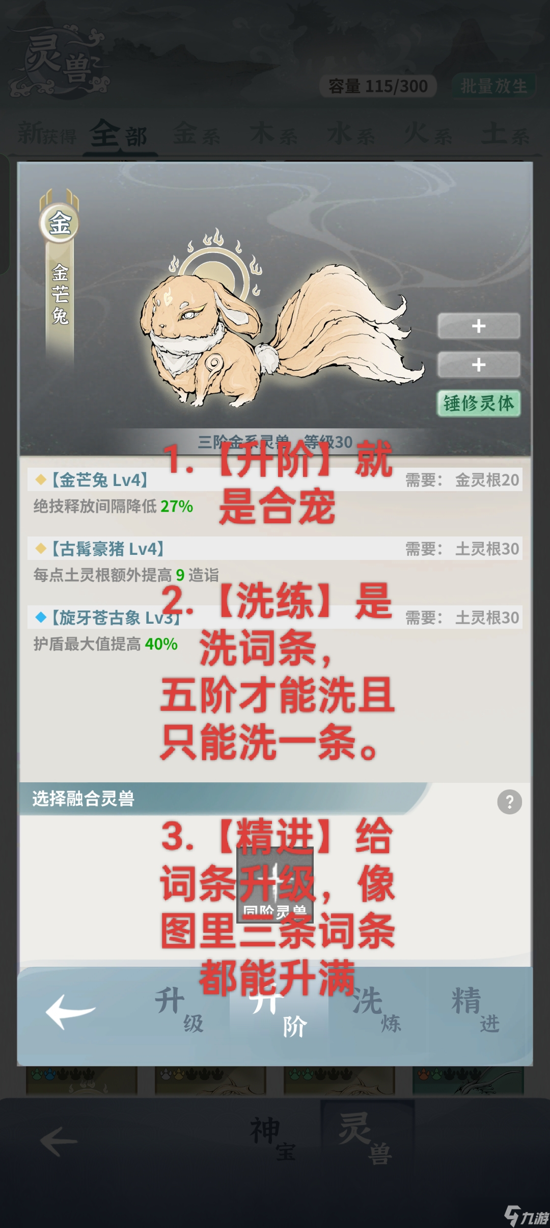 碧海苍云录【萌新攻略】灵兽宠物详解篇