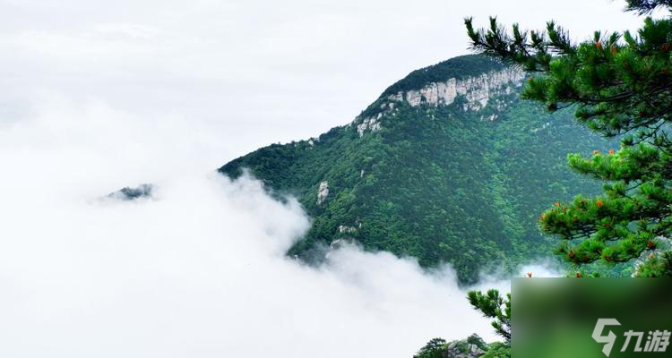 食之契約廬山云霧臺(tái)詞大全有哪些？臺(tái)詞背后的故事是什么？