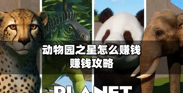 動(dòng)物園之星怎么賺錢 怎么在動(dòng)物園之星賺錢
