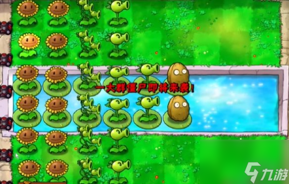 植物大战僵尸抽卡版冒险模式3-3攻略