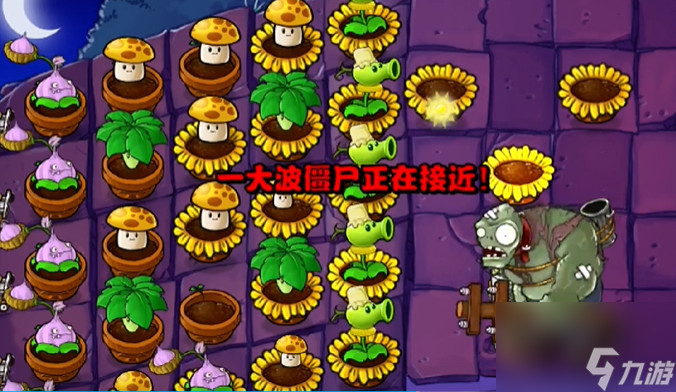 植物大战僵尸抽卡版冒险模式6-5怎么过