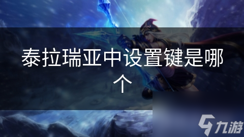 泰拉瑞亚中设置键是哪个