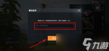 和平精英紫色名字进游戏,和平精英紫色的名字如何来的