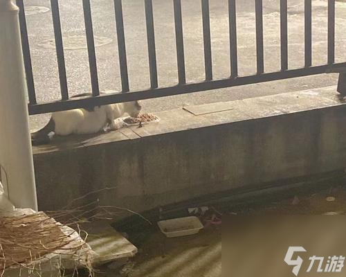 流浪日记吸烟流怎么玩？分享心得体会与玩法技巧