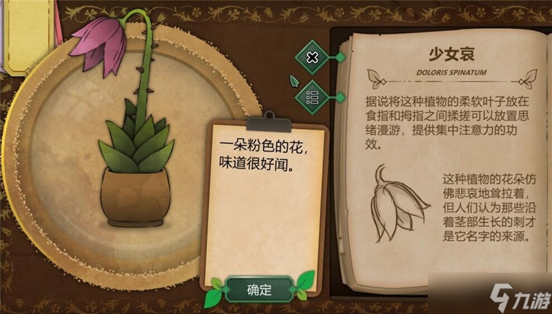 奇异园艺植物图鉴大全一览