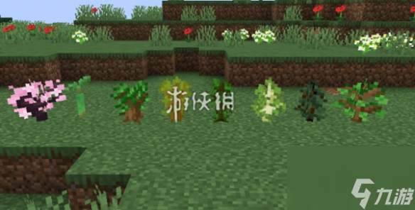 我的世界树苗生长条件汇总