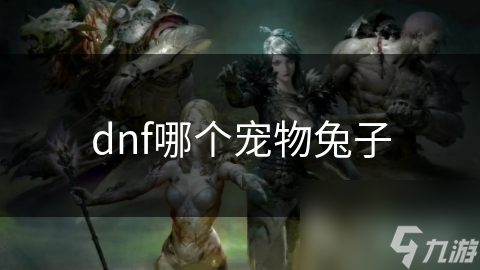 dnf哪個(gè)寵物兔子