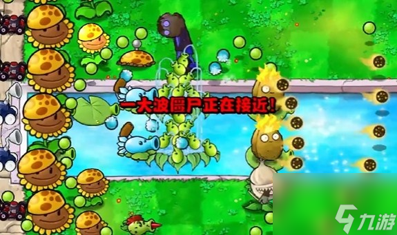《植物大战僵尸杂交版》冒险模式第14关通关攻略
