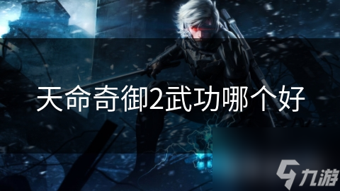 天命奇御2武功哪个好
