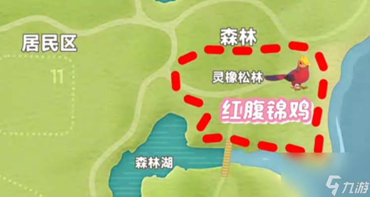 心动小镇新春季第三周四只鸟在哪