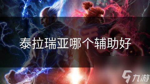 泰拉瑞亚哪个辅助好