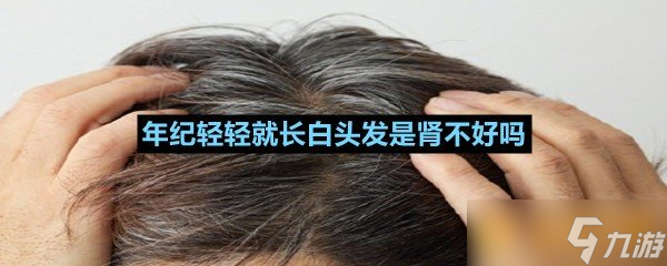 年紀(jì)輕輕就長(zhǎng)白頭發(fā)是腎不好嗎