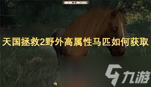 天国拯救2野外高属性马匹在哪刷(图2)
