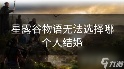 星露谷物语无法选择哪个人结婚