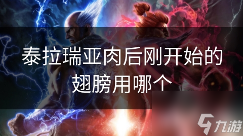泰拉瑞亞肉后剛開始的泰拉翅膀用哪個