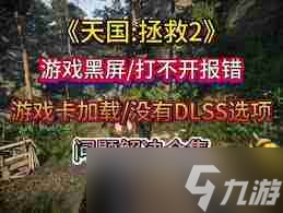天国拯救2调亮度怎么调