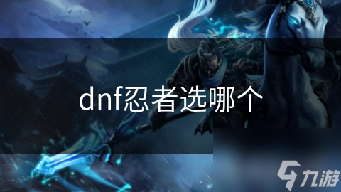 dnf忍者选哪个截图