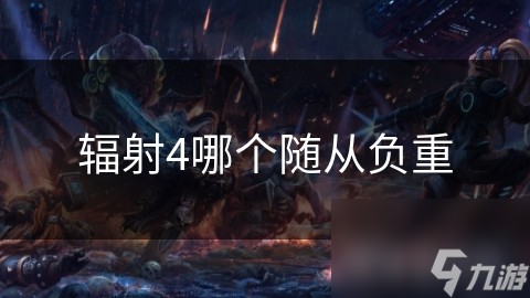 辐射4哪个随从负重