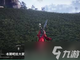 燕云十六声开荒攻略：核心要点与高效战力养成指南