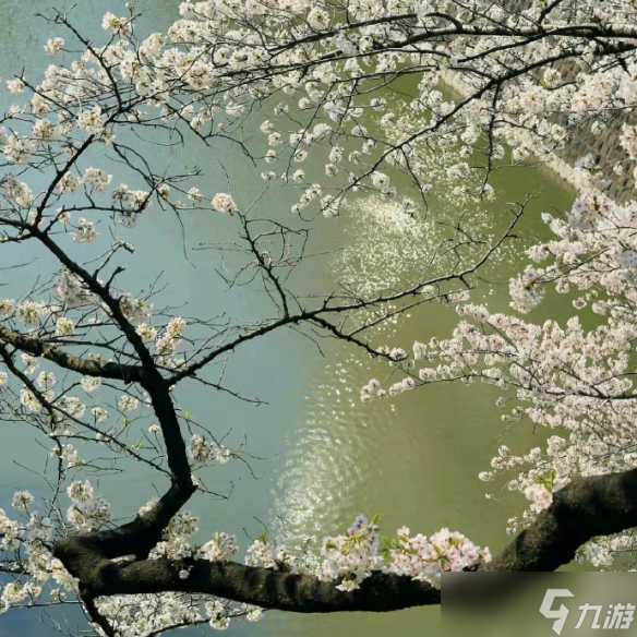 《英雄聯(lián)盟》禁欲系二字ID介紹