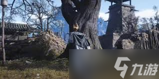 燕云十六声六疾哀鸣任务攻略