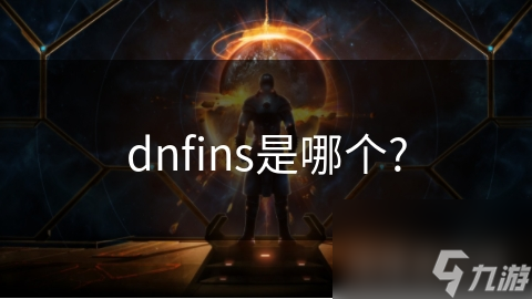 dnfins是哪個?