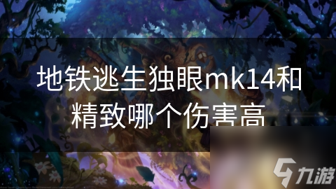 地鐵逃生獨眼mk14和精致哪個傷害高