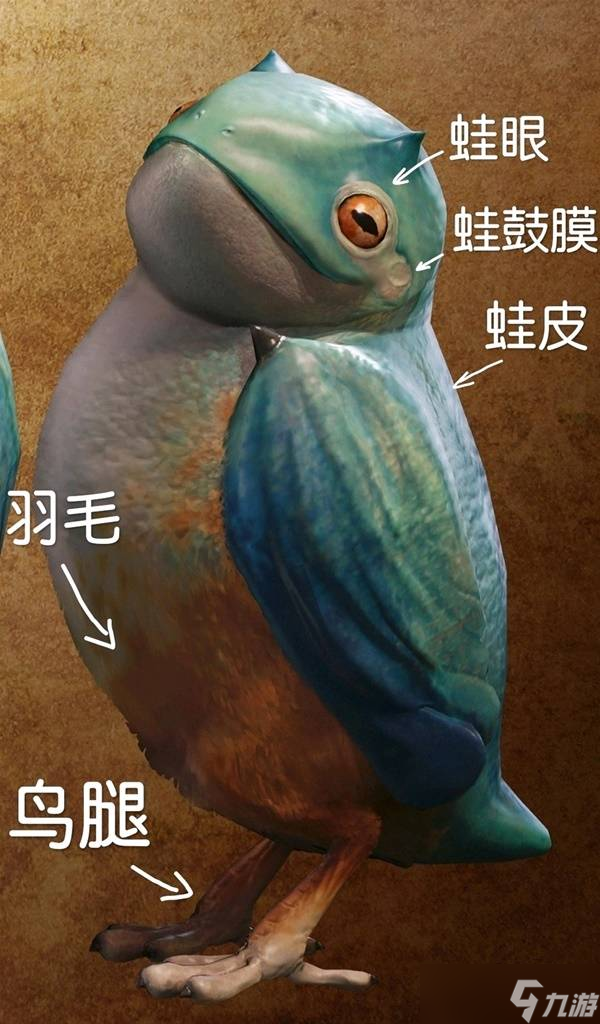 怪物獵人荒野生物有哪些 所有環(huán)境生物大全