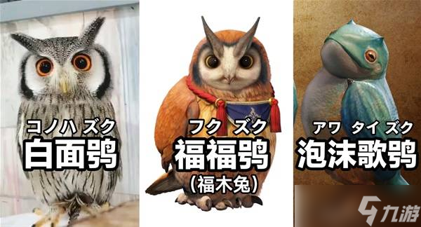 怪物猎人荒野生物有哪些 所有环境生物大全