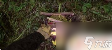 森林之子如何生火 《森林之子》野外生火注意事项