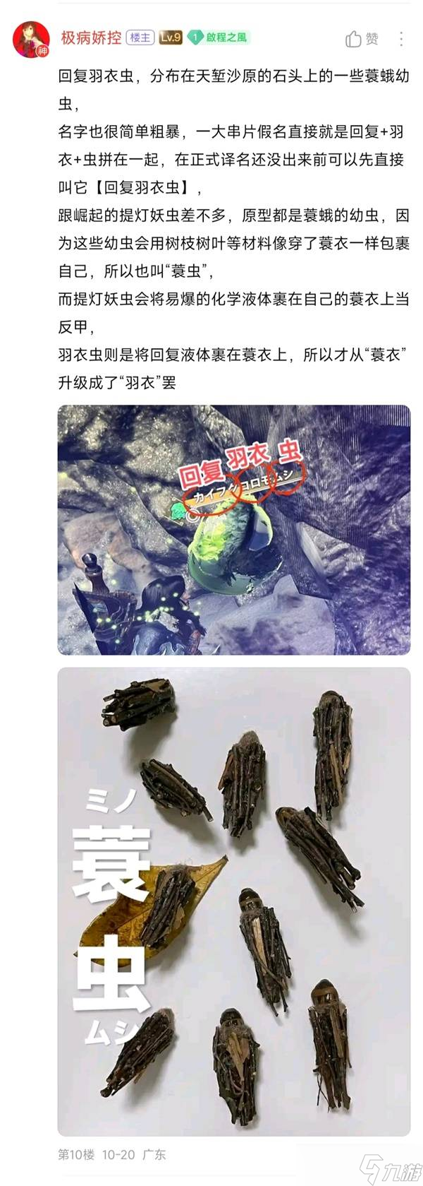 怪物猎人荒野生物有哪些 所有环境生物大全