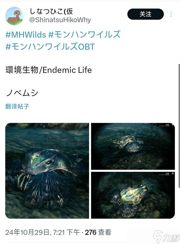 怪物猎人荒野生物有哪些 所有环境生物大全