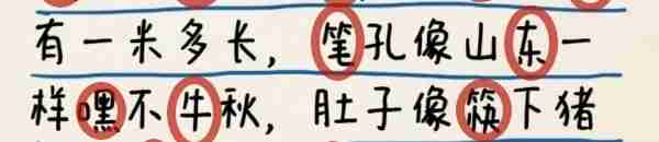 超級(jí)達(dá)人作文大賞怎么過(guò)-作文大賞通關(guān)攻略
