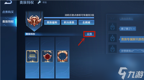 王者荣耀贵族等级隐藏方法