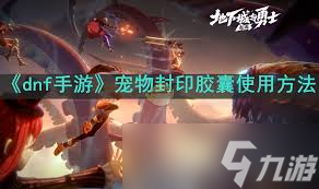 DNF宠物封印胶囊 一键封印，轻松交易，宠物养成新玩法 