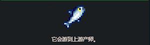 星露谷物语鲑鱼怎么收集-鲑鱼收集攻略