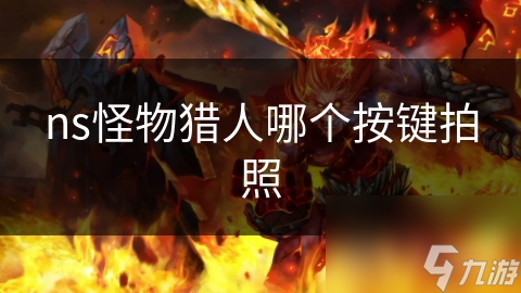 ns怪物猎人哪个按键拍照