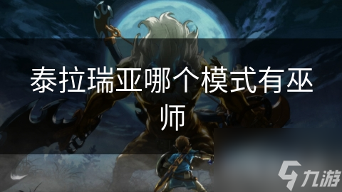 泰拉瑞亞哪個模式有巫師