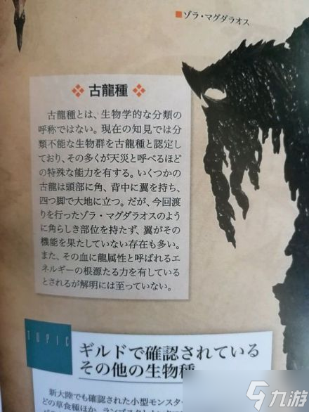 《怪物猎人荒野》古龙种大全一览