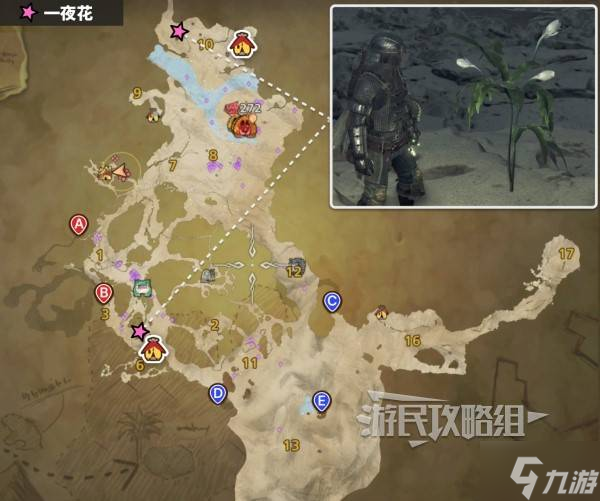 《怪物猎人荒野》一夜花的月华粉位置及获取方法 一夜花的月华粉在哪