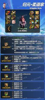 DNF男柔道115级高效加点策略指南