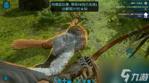 方舟生存进化新手出生点选择，方舟生存进化新手出生地