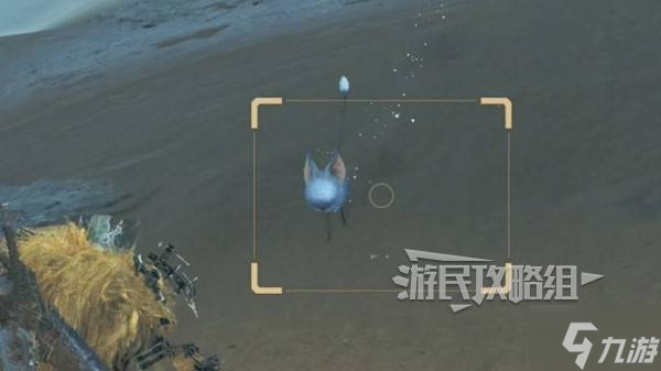 《怪物猎人荒野》稀有环境生物位置地图 沙野流星在哪