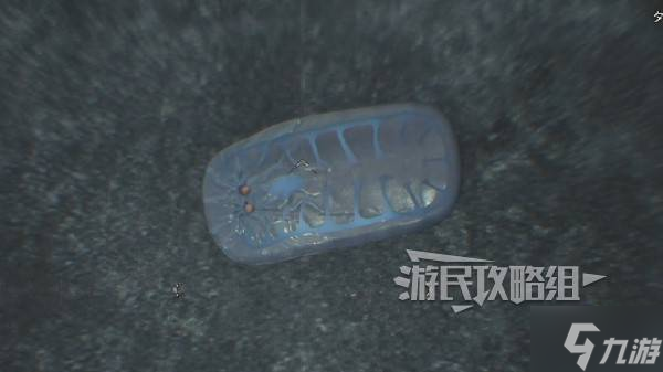 《怪物猎人荒野》大虚无动位置及捕获方法 大虚无动在哪抓