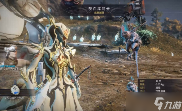 《星际战甲》声望获取攻略