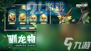 遇见龙手游如何通关龙族禁地