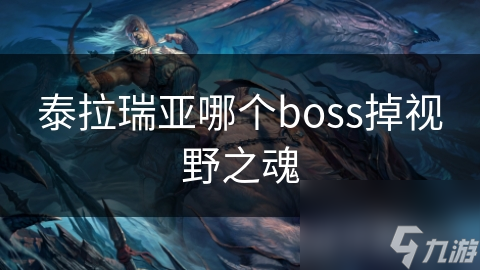 泰拉瑞亞哪個boss掉視野之魂