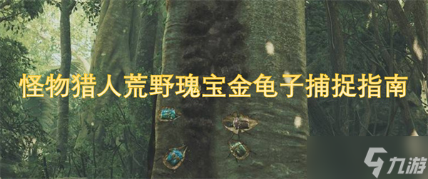怪物猎人荒野瑰宝金龟子捕捉指南