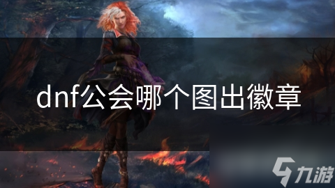 dnf公会哪个图出徽章