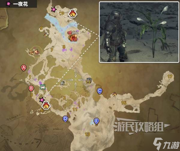 《怪物猎人荒野》新版本一夜花的月华粉速刷方法 一夜花的月华粉在哪